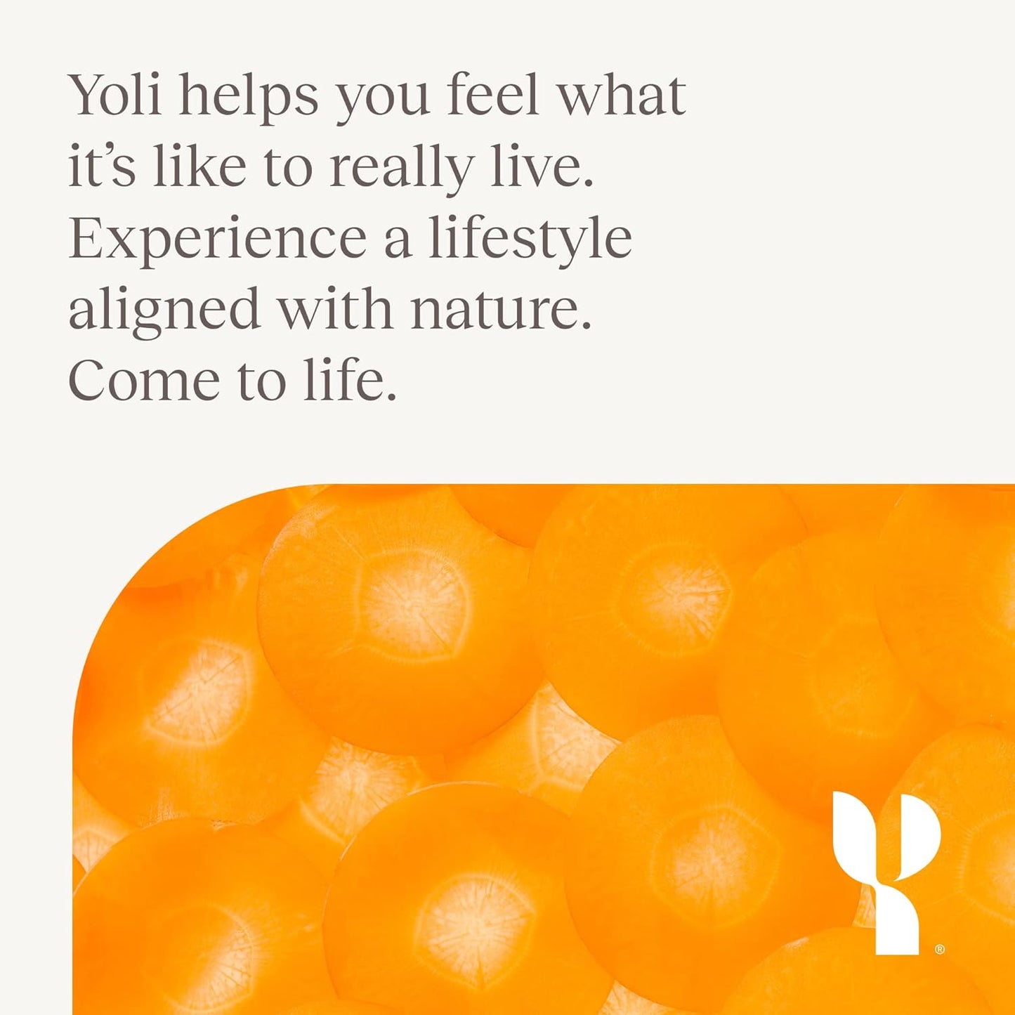 Yoli® YES Whey Protein Powder: Grass-Fed Chocolate Shake - 28 Packets