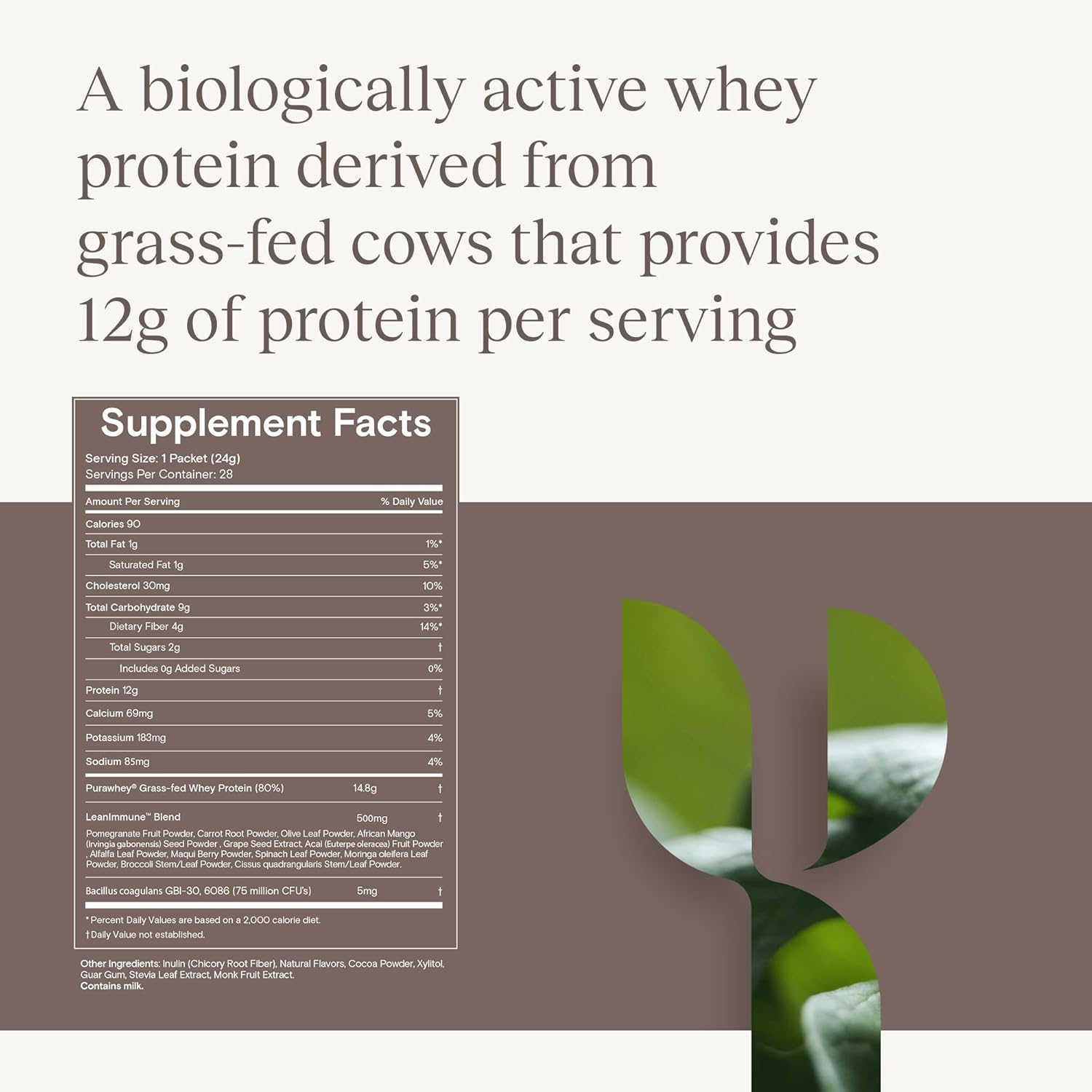 Yoli® YES Whey Protein Powder: Grass-Fed Chocolate Shake - 28 Packets