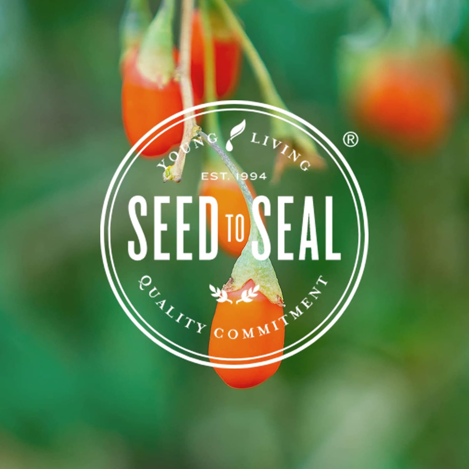 Young Living NingXia Red Antioxidant Drink 25.35 oz 2 Pack - Supports Energy & Wellness with Wolfberry, Blueberry, & Essential Oils