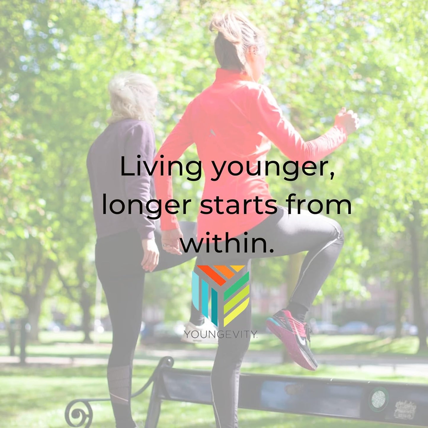 Youngevity Beyond Tangy Tangerine 2.0 Citrus Peach Multi-Vitamin & Mineral Complex - Natural & Whole Foods, 8,000 ORAC, 2 Canisters