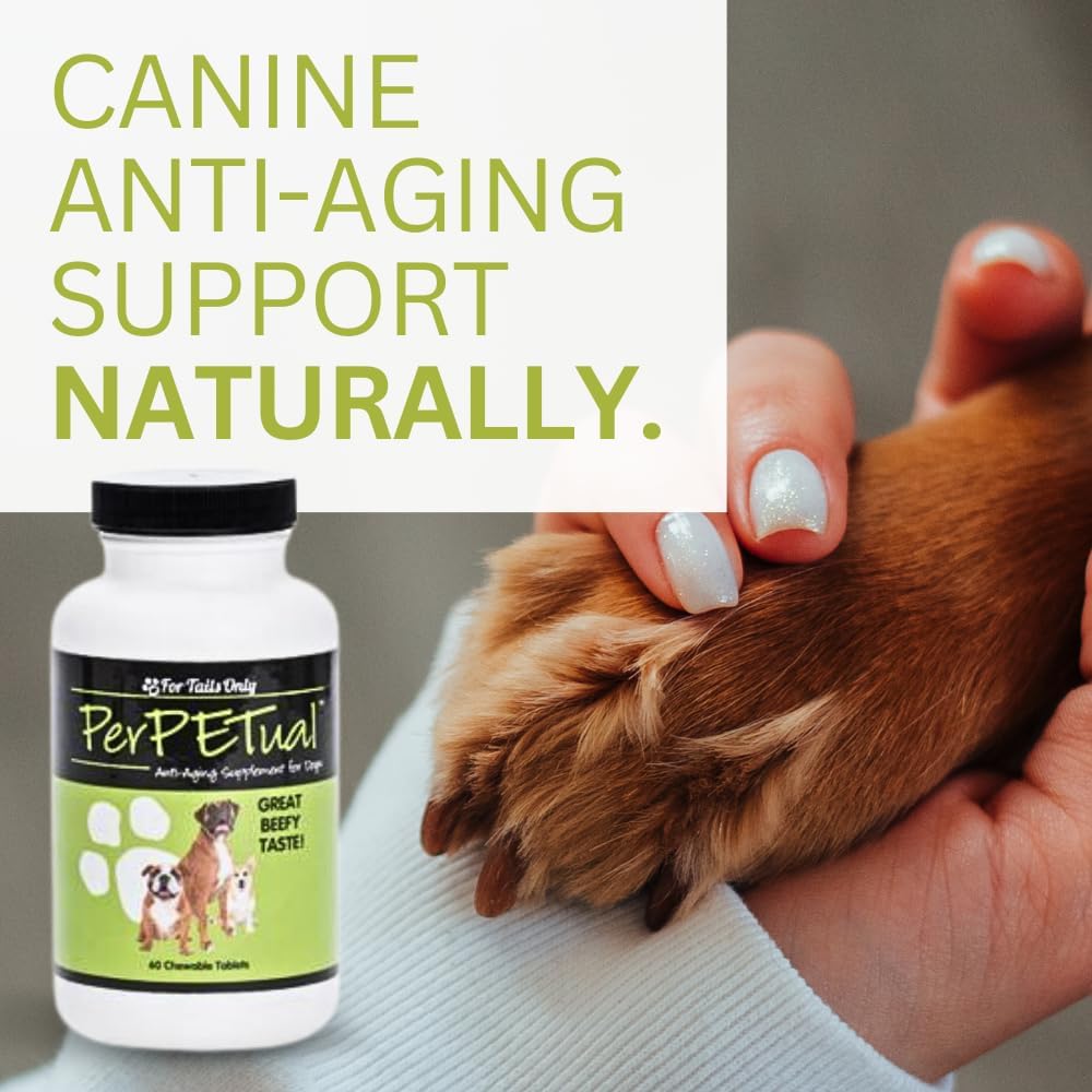 Youngevity Perpetual™ - Powerful Anti-Aging Dog Bone & Joint Support Tablets - Glucosamine, Choline, MSM, Milk Thistle, Turmeric - 60 Chewables