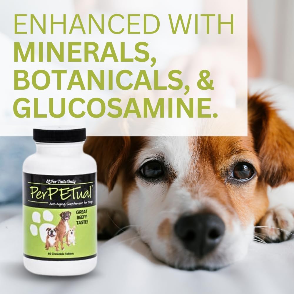 Youngevity Perpetual™ - Powerful Anti-Aging Dog Bone & Joint Support Tablets - Glucosamine, Choline, MSM, Milk Thistle, Turmeric - 60 Chewables