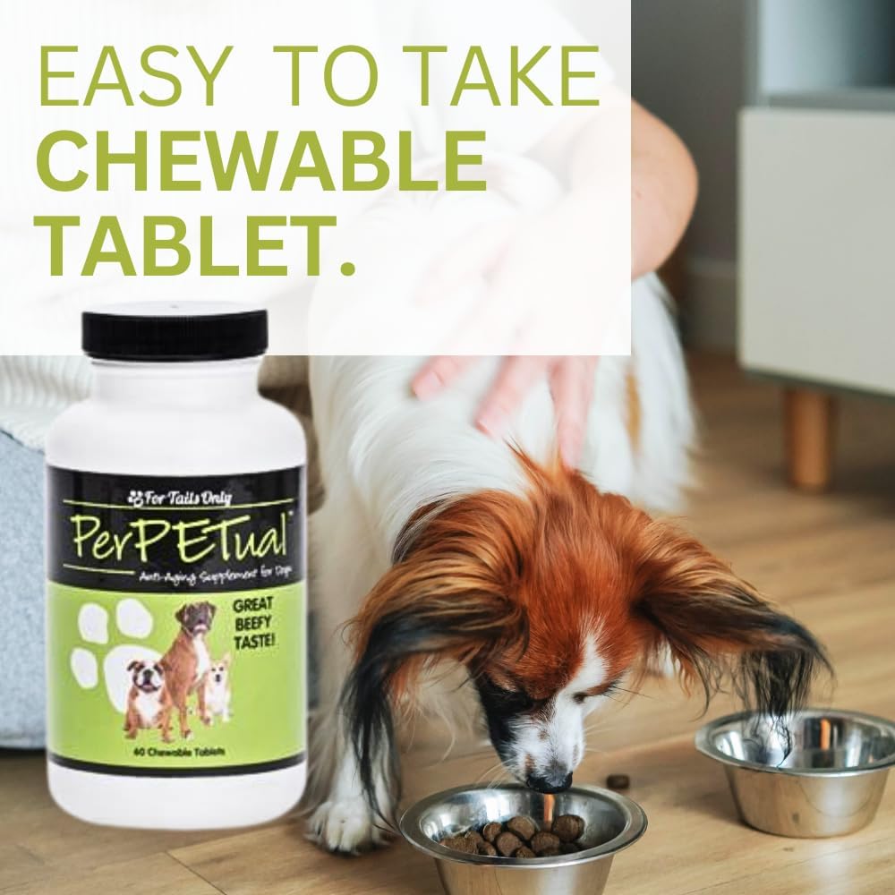 Youngevity Perpetual™ - Powerful Anti-Aging Dog Bone & Joint Support Tablets - Glucosamine, Choline, MSM, Milk Thistle, Turmeric - 60 Chewables