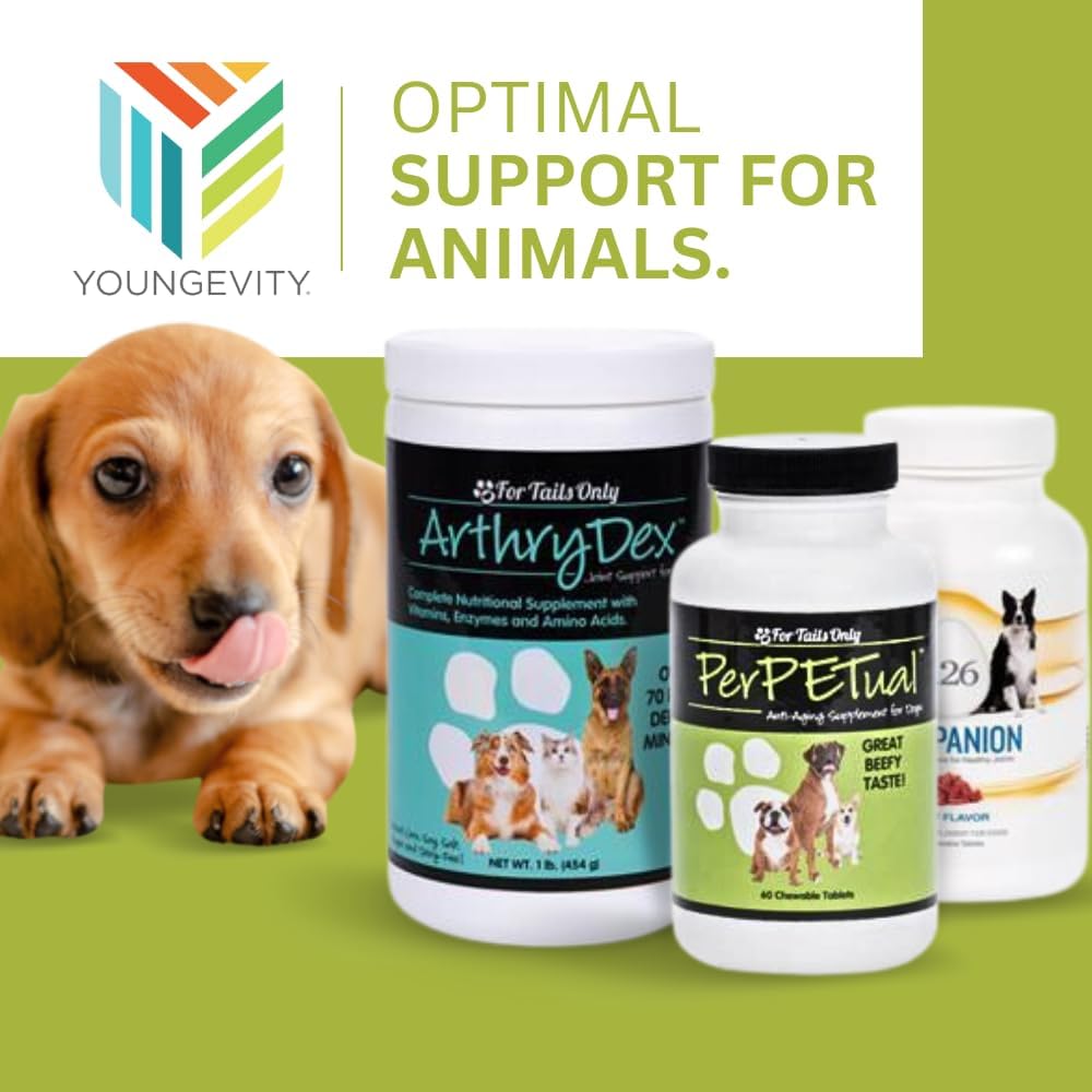 Youngevity Perpetual™ - Powerful Anti-Aging Dog Bone & Joint Support Tablets - Glucosamine, Choline, MSM, Milk Thistle, Turmeric - 60 Chewables