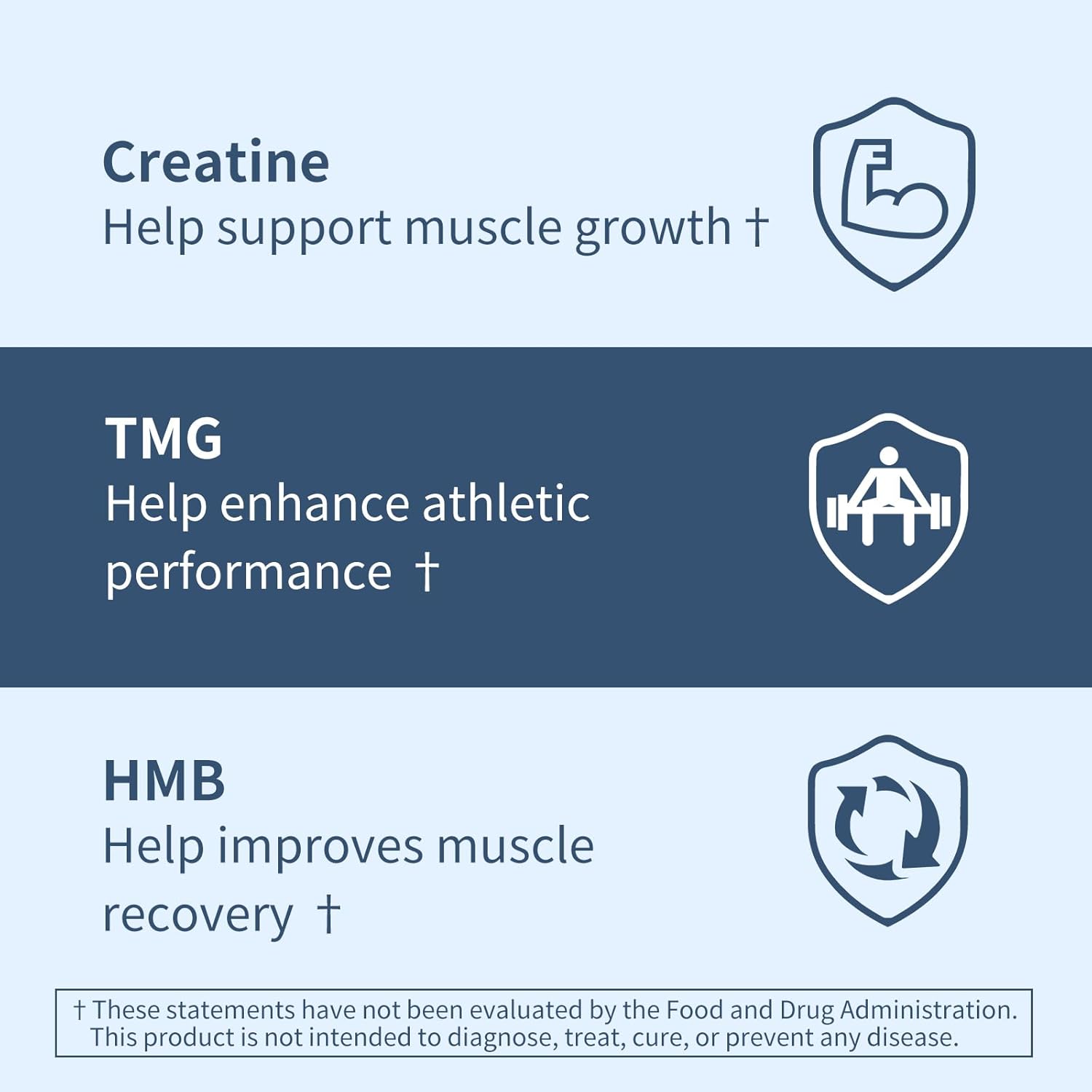 Youthvita Micronized Creatine Monohydrate Tablets with HMB & TMG for Muscle Growth and Recovery - 180 Count