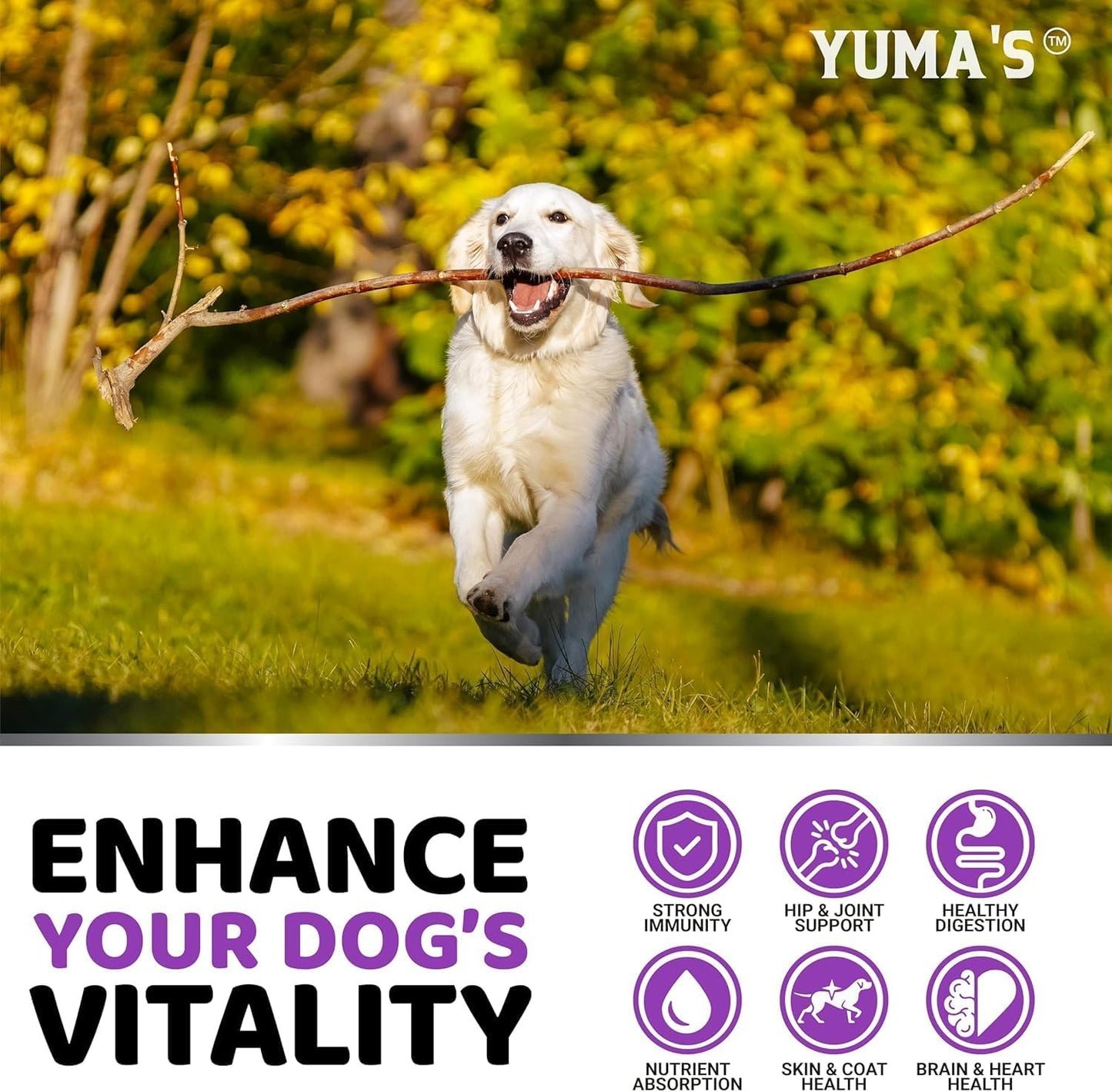YUMA's Dog Multivitamin Chewable with Glucosamine - 165 Treats - Senior & Puppy Vitamins for Dogs - Hip & Joint Support - Immune Health, Skin, Heart, Digestion - Probiotics Included