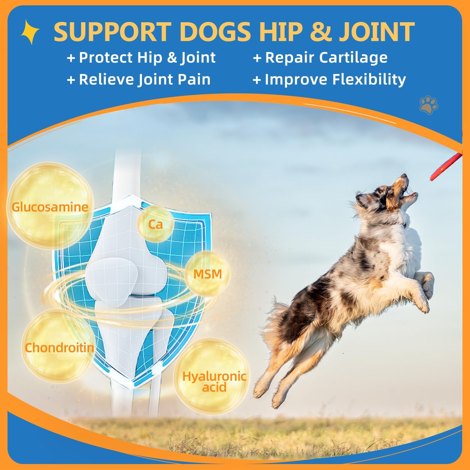 ZEBORA Dog Multivitamin Powder with Glucosamine, Omega 3, Probiotics for Immune, Skin & Coat Health - BoostGo Australia