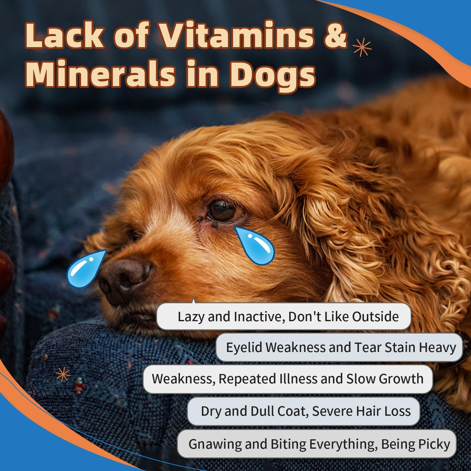 ZEBORA Dog Multivitamin Powder with Glucosamine, Omega 3, Probiotics for Immune, Skin & Coat Health - BoostGo Australia