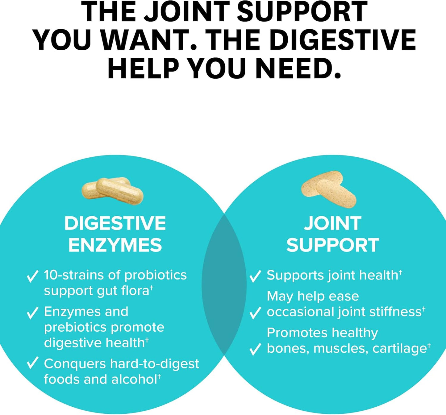 Zenwise Health Digestive Enzymes with Joint Support in Convenient Travel Size Tin