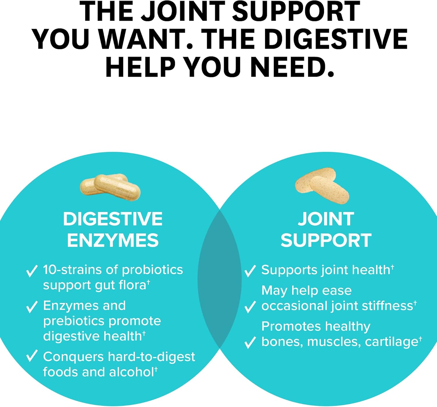 Zenwise Health Digestive Enzymes with Joint Support in Convenient Travel Size Tin