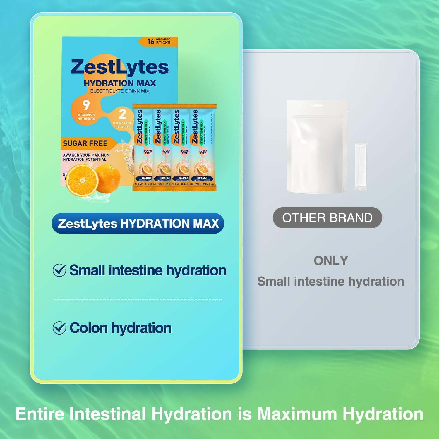 ZestLytes Electrolyte Powder Packets for Hydration with Bold Salty-Sweet Flavor, Sugar Free, 9 Vitamins & Nutrients, 2 Hydration Factors | 16 Sticks