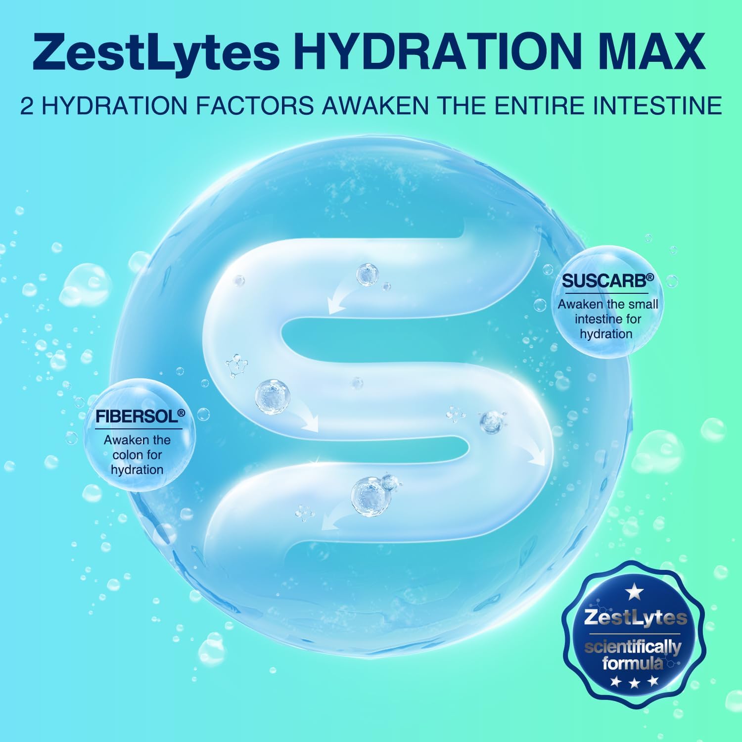 ZestLytes Electrolyte Powder Packets with Bold Salty-Sweet Flavor - Sugar Free Hydration Drink Mix with 9 Vitamins & Nutrients