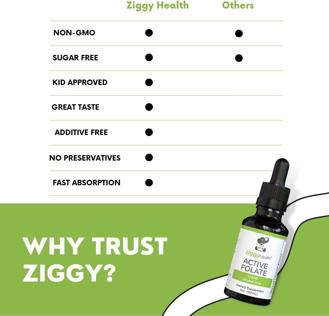 Ziggy Health Active Folate Liquid Extract Supplement - L-Methylfolate for Brain Health & Immune Support, Water Soluble B Complex - 1oz