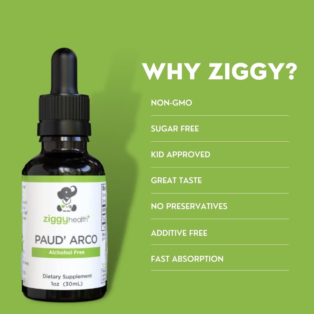 Ziggy Health Organic PAU D'arco Extract Tincture Drops - Immune & Gut Support - Alcohol-Free Herbal Supplement - Vegan - 1oz