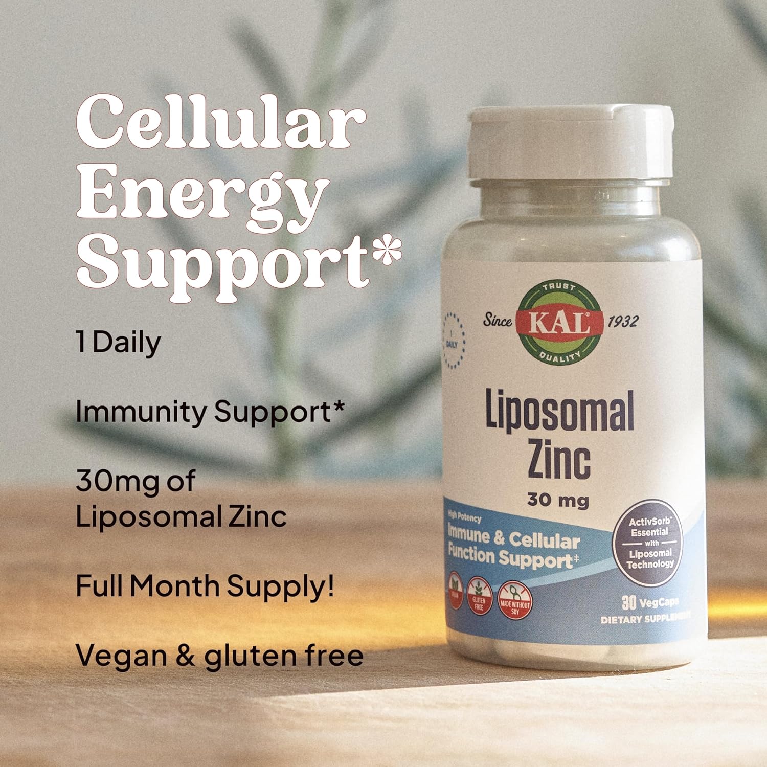 Zinc 30mg Liposomal Supplement for Immune Support, Enhanced Absorption, Vegan & Gluten Free, 30 Servings