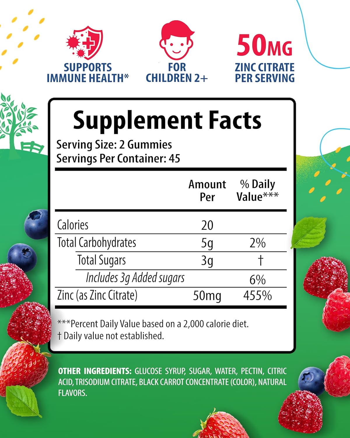 Zinc Gummies for Immune Support - Natural Antioxidant Supplement for Kids & Adults