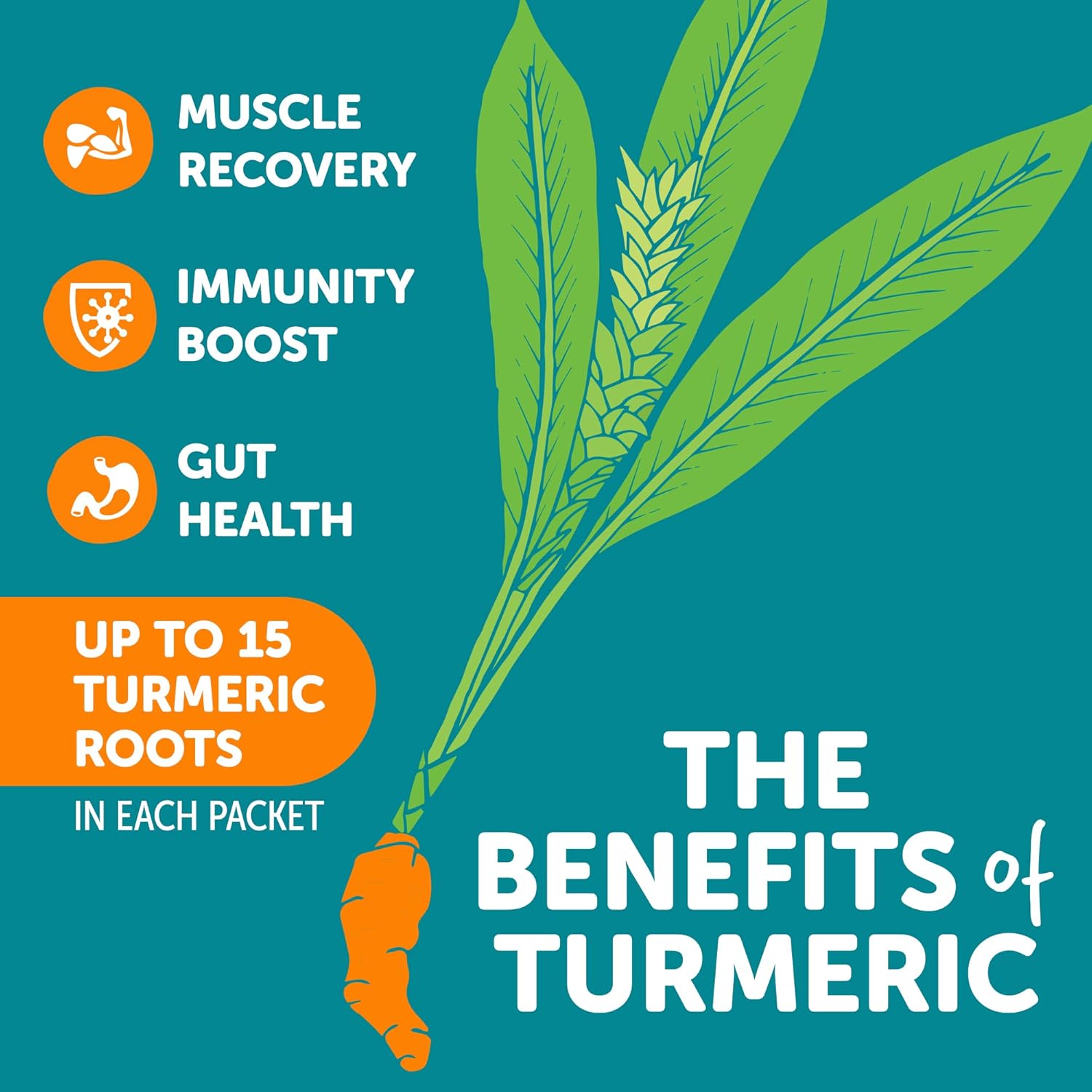 ZYN Electrolyte Drink Mix Variety Pack with Turmeric, Vitamin C, D, and Zinc - 16 Hydration Packets for Wellness