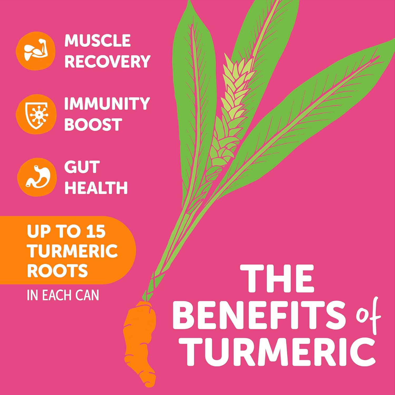 ZYN Turmeric Wellness Drink 6-Pack, Mixed Berry Flavored with Black Pepper - No Added Sugar, Low Carb & Calorie, Clean Alternative