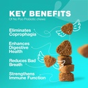digestive-health-chews-for-dogs-no-poo-stool-eating-deterrent-probiotics-for-dogs-immune-health-treats-for-dogs-03-digestive-health-chews-for-dogs---no-poo-stool-eat-3.jpg