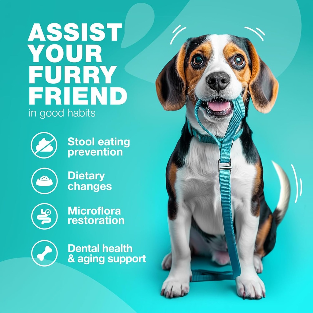 digestive-health-chews-for-dogs-no-poo-stool-eating-deterrent-probiotics-for-dogs-immune-health-treats-for-dogs-04-digestive-health-chews-for-dogs---no-poo-stool-eat-4.jpg