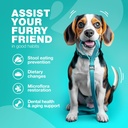 digestive-health-chews-for-dogs-no-poo-stool-eating-deterrent-probiotics-for-dogs-immune-health-treats-for-dogs-04-digestive-health-chews-for-dogs---no-poo-stool-eat-4.jpg