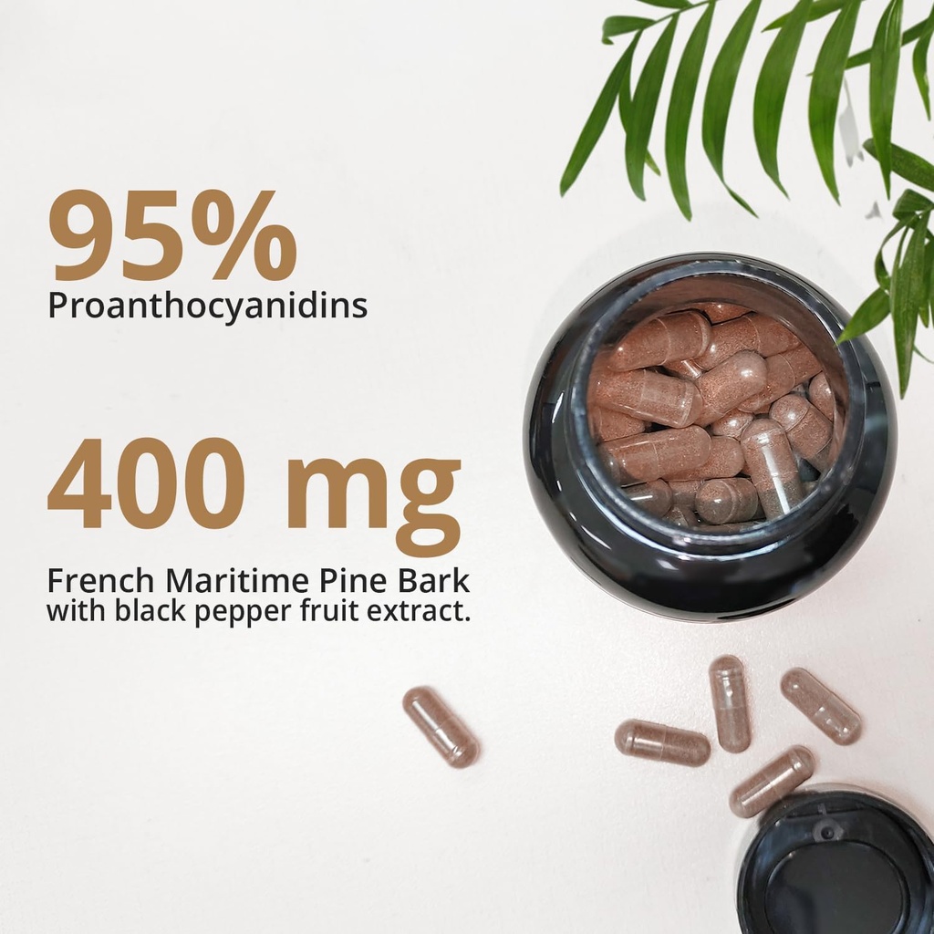 french-maritime-pine-bark-extract-400mg-95-proanthocyanidins-30x-standardized-extract-120-vegan-capsules-by-naturebulk-03-french-maritime-pine-bark-extract-400mg---95-proan-3.jpg