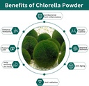 16-oz-hudetex-chlorella-powder-natural-chlorophyll-for-immune-system-liver-health-youth-vegan-protein-vitamins-03-16-oz-hudetex-chlorella-powder-natural-chlorophyll-3.jpg