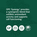 standard-process-opc-synergy-capsules-natural-cognitive-and-brain-health-support-with-bilberry-grape-seed-extract-and-green-tea-powder-40-count-03-standard-process-opc-synergy-capsules---natural-co-3.jpg