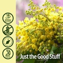 organic-alcohol-free-oregon-grape-root-extract-1oz-promotes-wellness-vegan-non-gmo-gluten-free-kosher-single-bottle-05-organic-alcohol-free-oregon-grape-root-extract-1oz-5.jpg