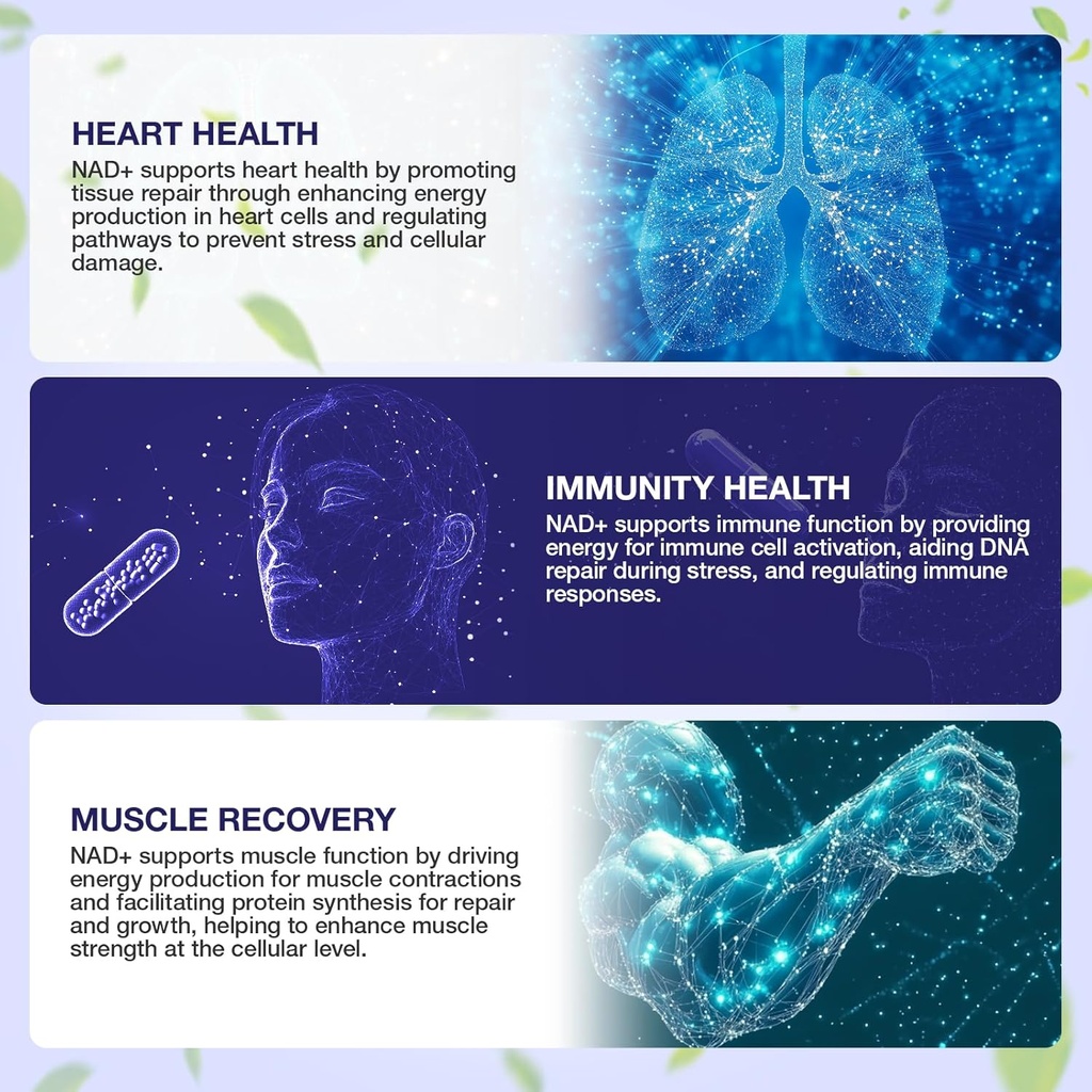 nad-supplement-with-nicotinamide-riboside-resveratrol-900mg-for-men-and-women-02-nad-supplement-with-nicotinamide-riboside-resverat-2_0310b091-5f89-4f40-9821-0c6d193261ae.jpg