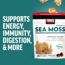 sea-moss-soft-chews-immunity-digestion-heart-health-support-irish-sea-moss-superfood-antioxidants-non-gmo-gluten-free-salted-caramel-flavor-05-sea-moss-soft-chews-immunity-digestion-heart-healt-5.jpg