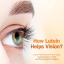 lutemax-2020-eye-health-supplement-with-lutein-zeaxanthin-bilberry-and-vitamins-a-c-e-60-softgels-06-lutemax-2020-eye-health-supplement-with-lutein-zea-6.jpg