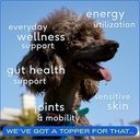 daily-dog-multivitamin-and-omega-oil-bundle-for-dogs-native-pet-pack-leaders-7-oz-8-oz-02-daily-dog-multivitamin-and-omega-oil-bundle-for-do-2.jpg
