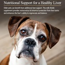 hepato-support-milk-thistle-supplement-for-dogs-cats-100mg-silymarin-capsules-promotes-healthy-liver-function-90-ct-03-hepato-support-milk-thistle-supplement-for-dogs-ca-3.jpg