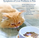 hepato-support-milk-thistle-supplement-for-dogs-cats-100mg-silymarin-capsules-promotes-healthy-liver-function-90-ct-04-hepato-support-milk-thistle-supplement-for-dogs-ca-4.jpg