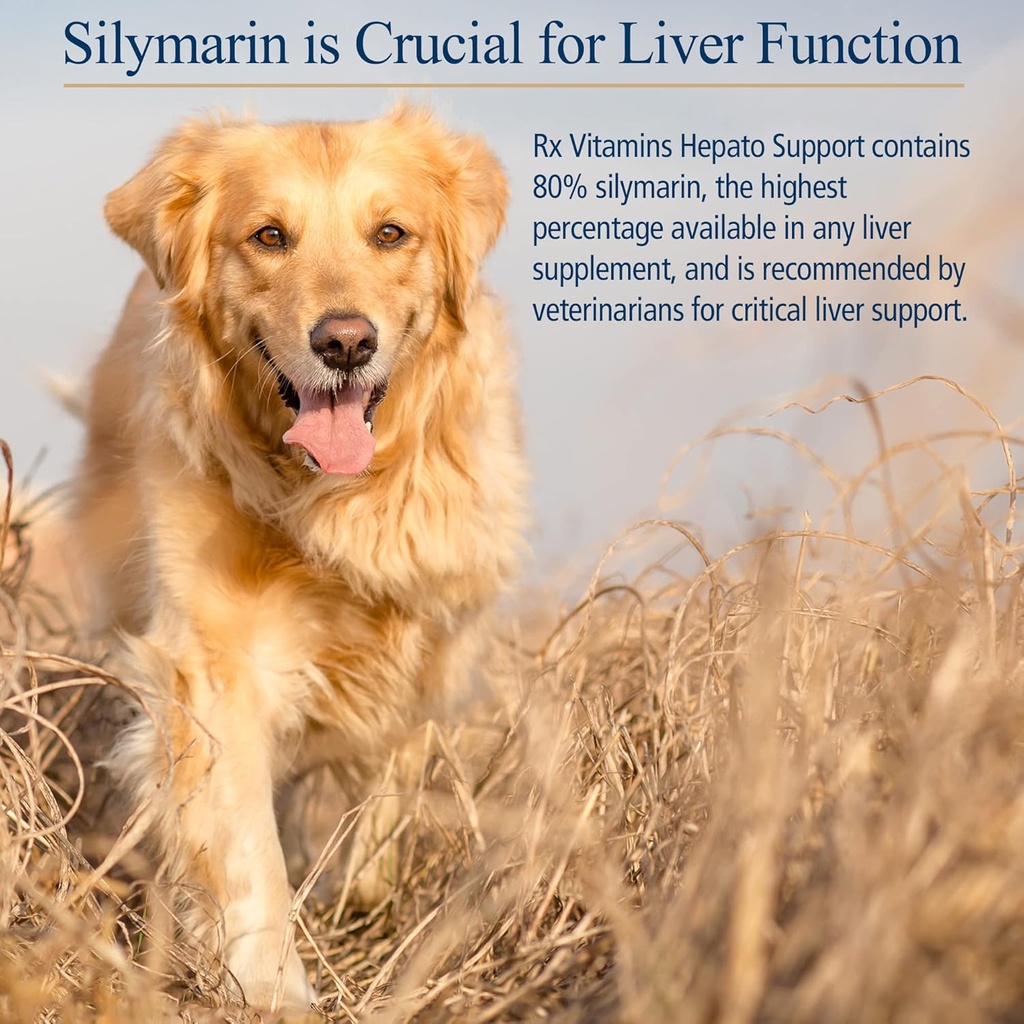 hepato-support-milk-thistle-supplement-for-dogs-cats-100mg-silymarin-capsules-promotes-healthy-liver-function-90-ct-05-hepato-support-milk-thistle-supplement-for-dogs-ca-5.jpg