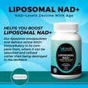 liposomal-nad-supplement-with-resveratrol-and-japanese-knotweed-extract-for-cellular-health-and-energy-90-capsules-vegan-04-liposomal-nad-supplement-with-resveratrol-and-japa-4.jpg