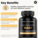 resveratrol-capsules-with-nad-for-vital-vitamin-support-05-resveratrol-capsules-with-nad-for-vital-vitamin-su-5.jpg