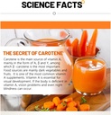 500mg-beta-carotene-soft-capsule-for-healthy-skin-and-eyes-100-count-06-500mg-beta-carotene-soft-capsule-for-healthy-skin--6.jpg