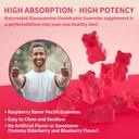 natures-aid-nutrition-glucosamine-chondroitin-gummies-with-msm-elderberry-joint-immune-support-2-pack-raspberry-flavor-06-natures-aid-nutrition-glucosamine-chondroitin-gumm-6.jpg