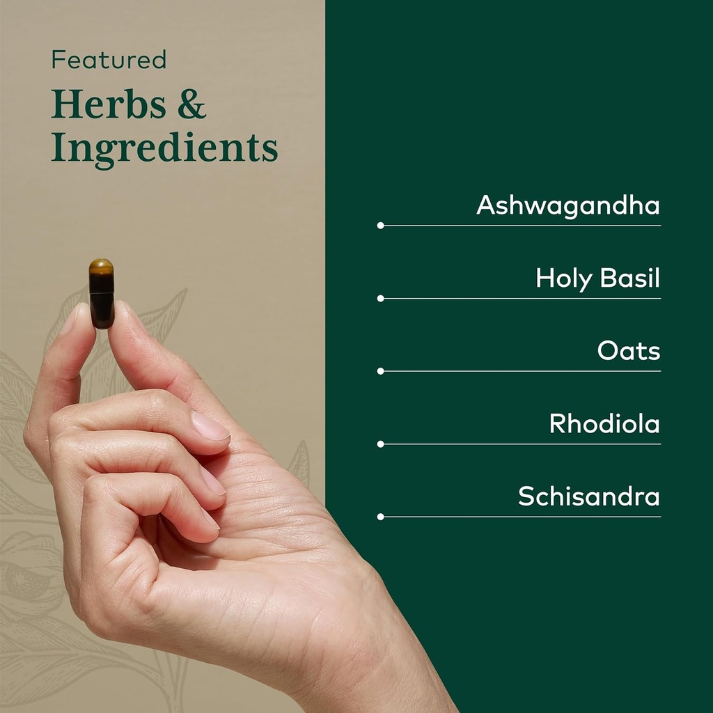 gaia-herbs-pro-daytime-hpa-supplement-adaptogen-nervine-for-stress-support-ashwagandha-holy-basil-oats-rhodiola-schisandra-120-vegan-caps-04-gaia-herbs-pro-daytime-hpa-supplement---adaptogen--4.jpg