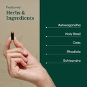 gaia-herbs-pro-daytime-hpa-supplement-adaptogen-nervine-for-stress-support-ashwagandha-holy-basil-oats-rhodiola-schisandra-120-vegan-caps-04-gaia-herbs-pro-daytime-hpa-supplement---adaptogen--4.jpg