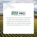 gaia-herbs-pro-daytime-hpa-supplement-adaptogen-nervine-for-stress-support-ashwagandha-holy-basil-oats-rhodiola-schisandra-120-vegan-caps-07-gaia-herbs-pro-daytime-hpa-supplement---adaptogen--7.jpg