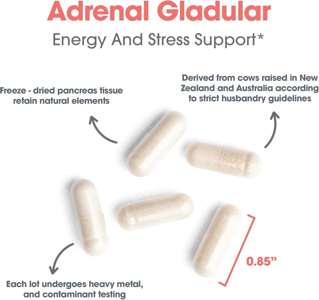 adrenal-support-supplement-for-men-women-endocrine-and-adrenal-glandular-support-150-count-05-adrenal-support-supplement-for-men-women---endocri-5.jpg