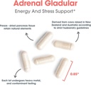 adrenal-support-supplement-for-men-women-endocrine-and-adrenal-glandular-support-150-count-05-adrenal-support-supplement-for-men-women---endocri-5.jpg