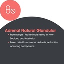 adrenal-support-supplement-for-men-women-endocrine-and-adrenal-glandular-support-150-count-07-adrenal-support-supplement-for-men-women---endocri-7.jpg