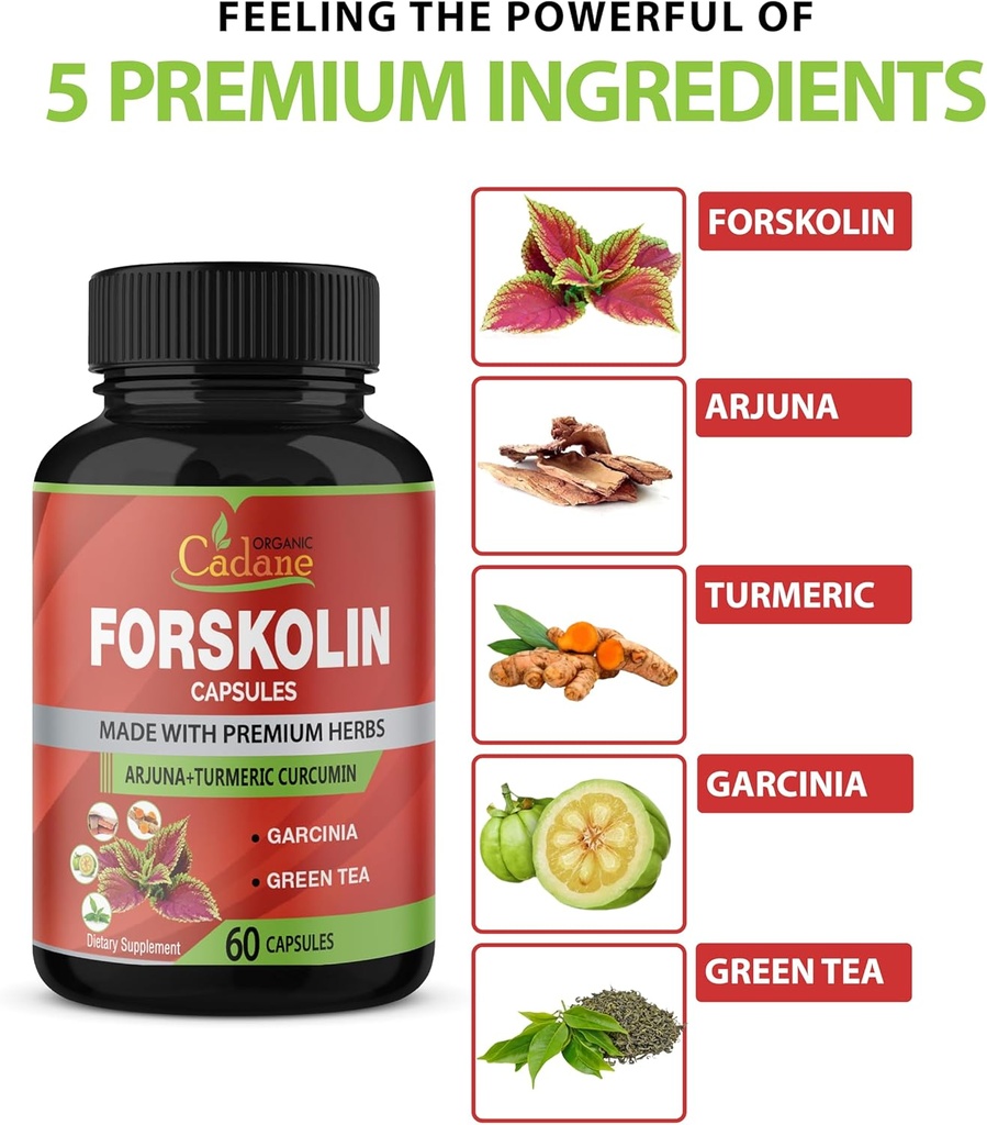 maximum-strength-organic-cadane-forskolin-capsules-with-turmeric-arjuna-garcinia-cambogia-green-tea-immune-system-support-60-capsules-2-month-supply-02-maximum-strength-organic-cadane-forskolin-capsules-2.jpg