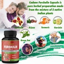 maximum-strength-organic-cadane-forskolin-capsules-with-turmeric-arjuna-garcinia-cambogia-green-tea-immune-system-support-60-capsules-2-month-supply-04-maximum-strength-organic-cadane-forskolin-capsules-4.jpg
