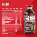 keto-friendly-pre-workout-energy-shots-with-clean-green-tea-caffeine-berry-flavor-1-93-fl-oz-pack-of-48-natural-endurance-blend-for-7-hours-of-energy-06-keto-friendly-pre-workout-energy-shots-with-clean--6.jpg