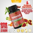 maximum-strength-organic-cadane-forskolin-capsules-with-turmeric-arjuna-garcinia-cambogia-green-tea-immune-system-support-60-capsules-2-month-supply-06-maximum-strength-organic-cadane-forskolin-capsules-6.jpg